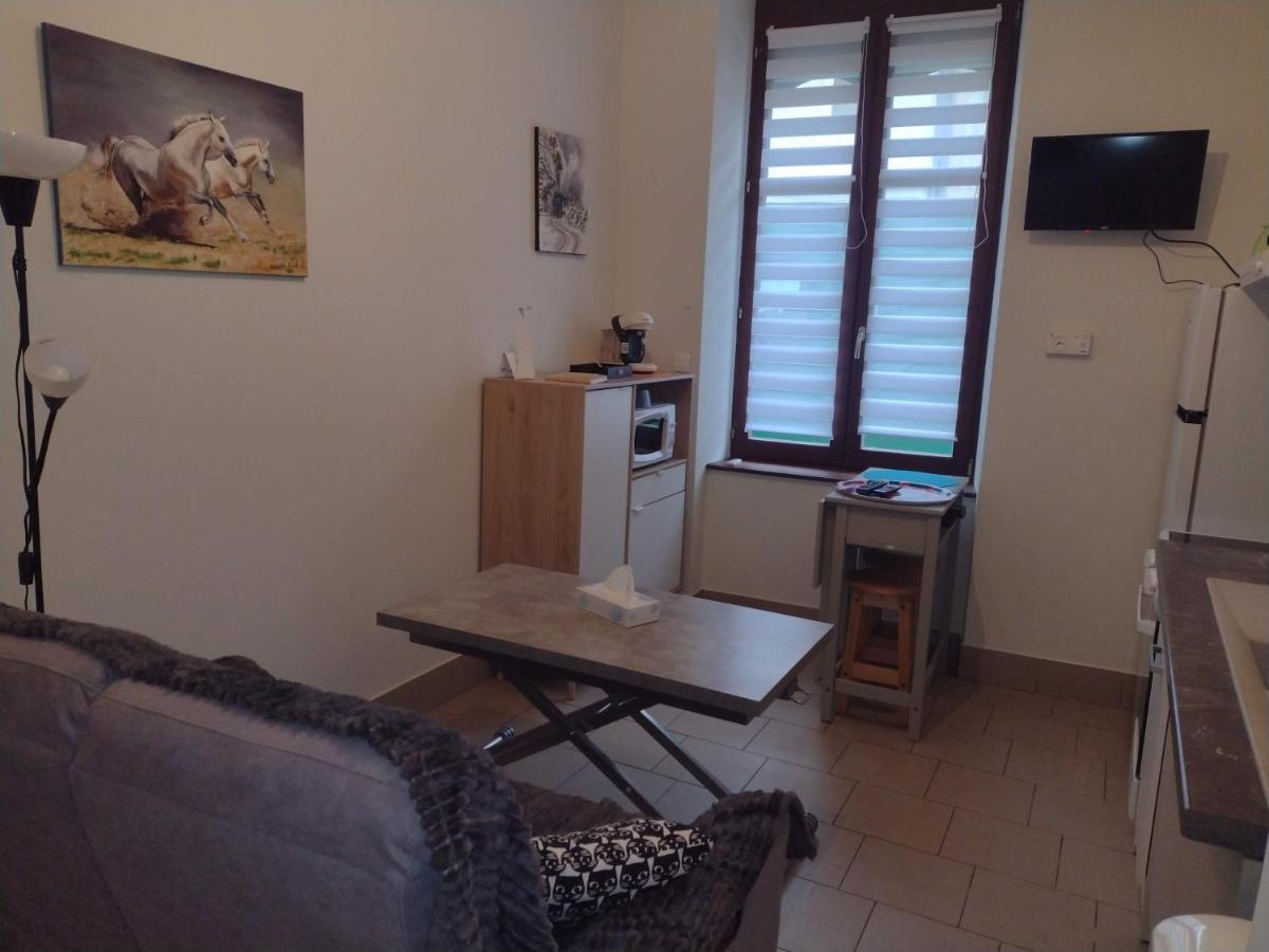 Appartement Rdc Chez Caroline Bourbonne-les-Bains Zewnętrze zdjęcie