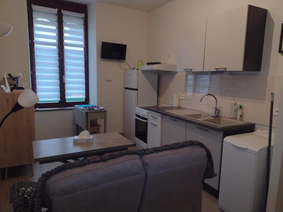 Appartement Rdc Chez Caroline Bourbonne-les-Bains Zewnętrze zdjęcie